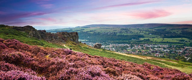 Overlooking a Yorkshire town from a purple heather covered hillside