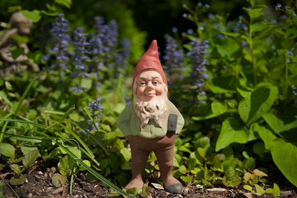 Gnome in a flowerbed