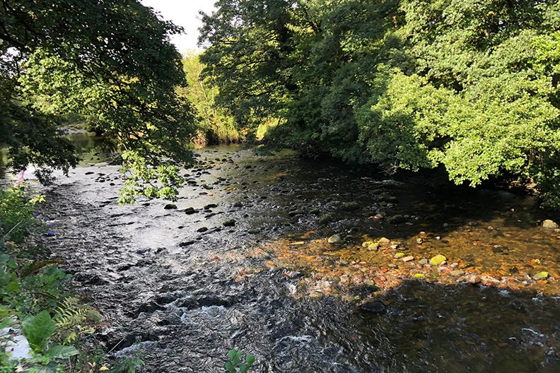 The river at Bellever Forest