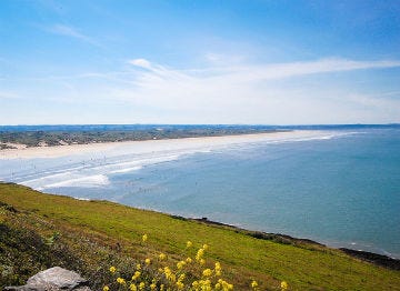 Stand atop the pretty green hillside and look onto Saunton Sands beach